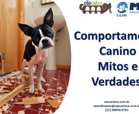 Comportamento Canino: mitos e verdades – ML Imóveis